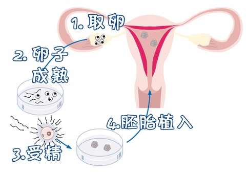 苏主任医师